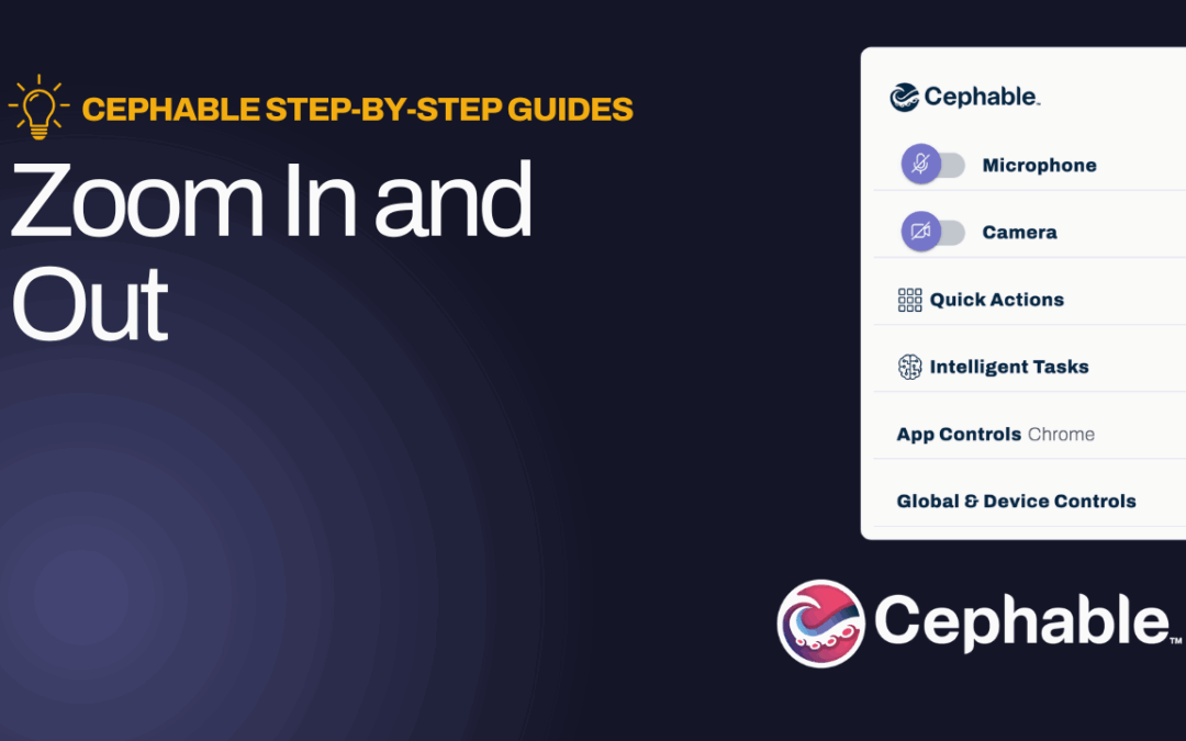 Zoom In / Zoom Out – Mac/PC